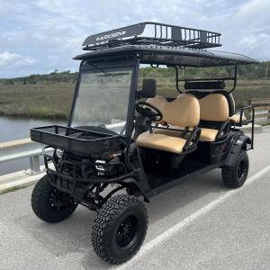 Lifted Off Road Golf Carts Image #28