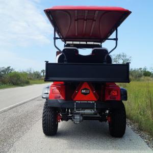 Lifted Off Road Golf Carts Image #6
