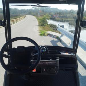 University of Florida Image #4