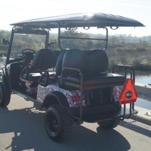 University of Florida Image #5