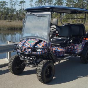 University of Florida Image #8