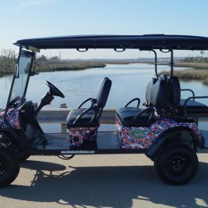 University of Florida Image #9