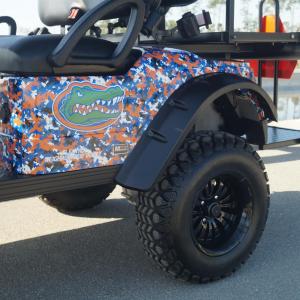 University of Florida Image #10