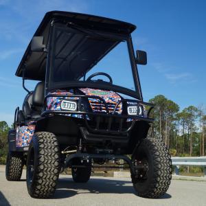 University of Florida Image #13