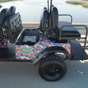 University of Florida Image #12