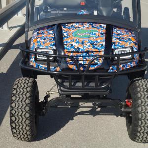 University of Florida Image #16