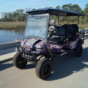 University of Florida Image #1