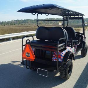 University of Florida Image #18