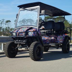 University of Florida Image #11