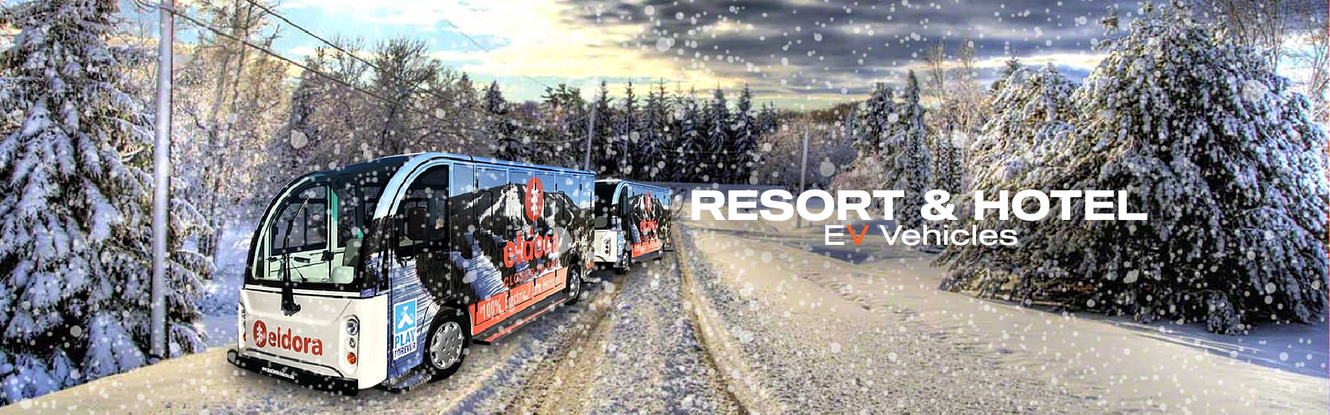 Golf Carts for Resorts and Hotels