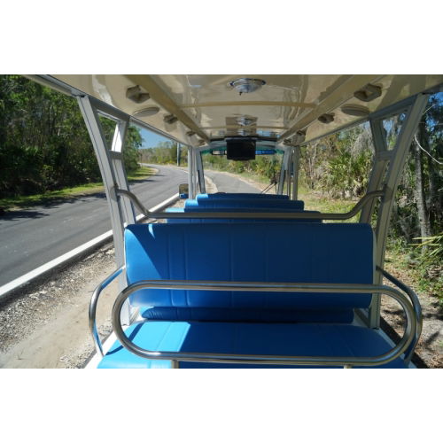 Dome Light - Photo 4