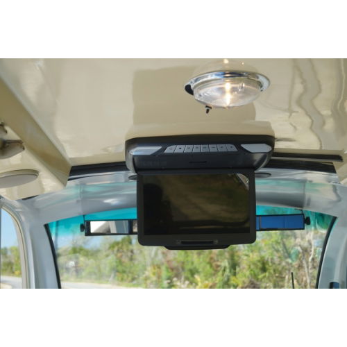 Dome Light - Photo 7