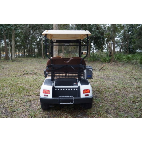 MotoEV Electro Neighborhood Buddy 2 Passenger Street Legal Golf Cart  back