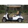 MotoEV Electro Neighborhood Buddy 2 Passenger Street Legal Golf Cart left side ou tside
