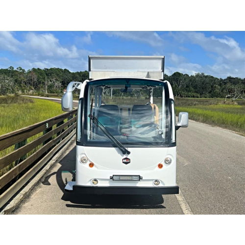 Wheelchair Electric Shuttle For Sale