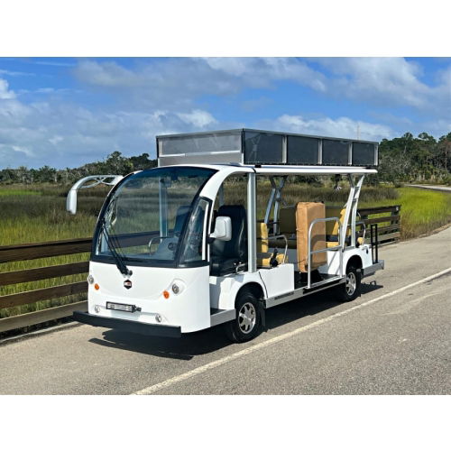 Electric Wheelchair Shuttle
