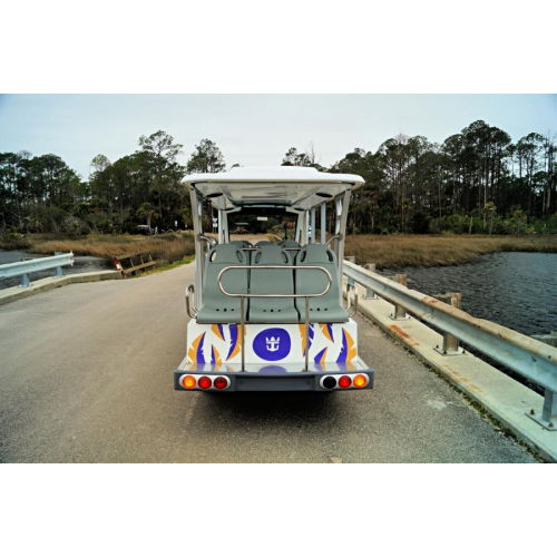 Low Speed Vehicle 15 passengers
