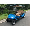 Custom Paint Job- Golf Cart - Photo 3