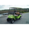 Custom Paint Job- Golf Cart - Photo 5