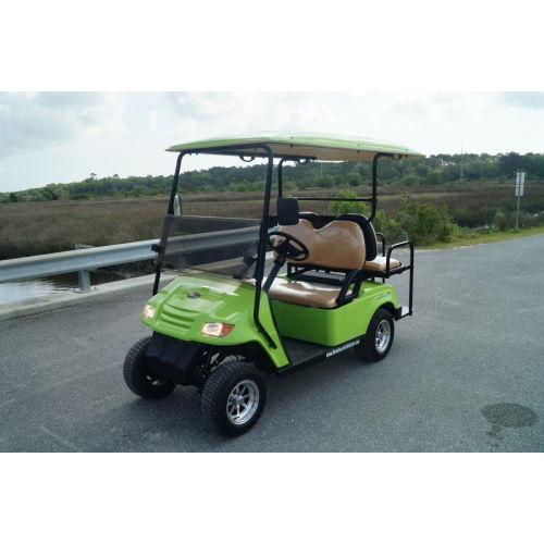 Custom Paint Job- Golf Cart - Photo 5