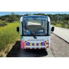 Electric Mini Bus For Touring