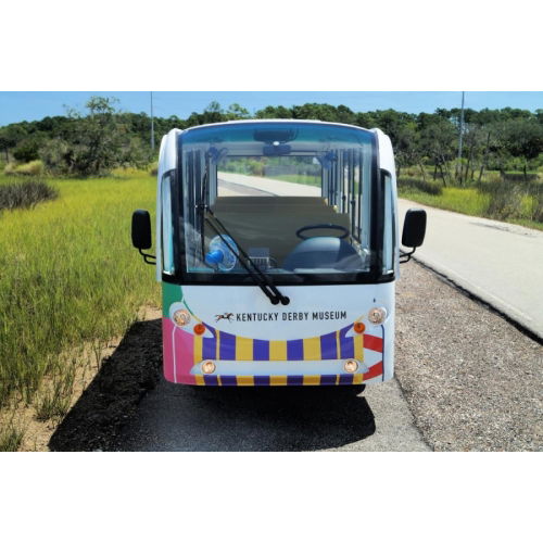 Electric Mini Bus For Touring