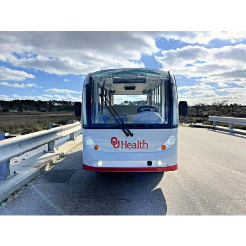 Moto Electric Vehicles People Movers for Sale