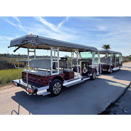 Wheelchair Trams for Sale