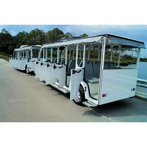 Half Door Package- Electric Shuttle - Photo 8