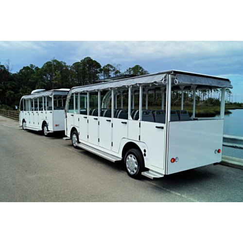 Half Door Package- Electric Shuttle - Photo 4