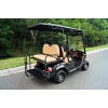 Golf Carts with Hand Controls