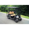 4 Passenger Golf Cart with Hand Controls