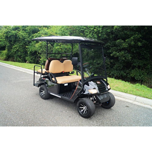 4 Passenger Golf Cart with Hand Controls