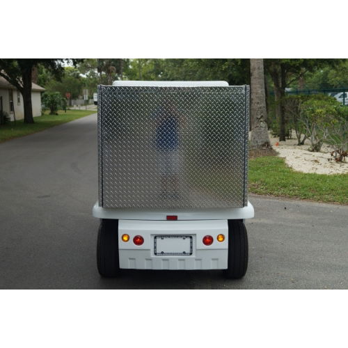 MotoEV Electro Bubble Buddy 2 Passenger Enclosed Utility Standard back