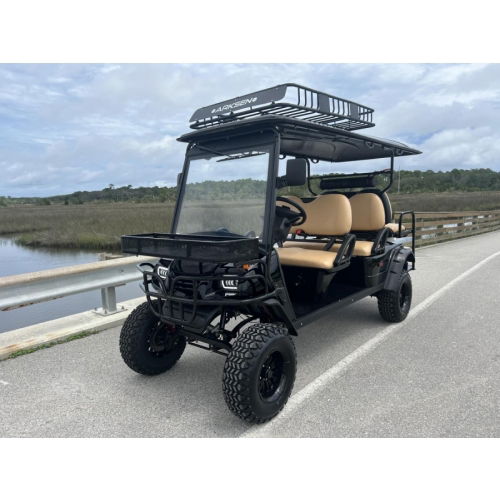 MotoEV Electro Neighborhood Buddy 6 Passenger (Back to Back) Highriser Street Legal Golf Cart - Photo 20