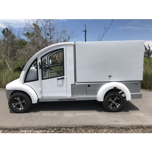 MotoEV Electro Bubble Buddy LSV 2 Passenger Enclosed Utility Deluxe Hard Door left side outside