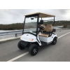 MotoEV Electro Neighborhood Buddy 2 Passenger Utility Street Legal Golf Cart outside