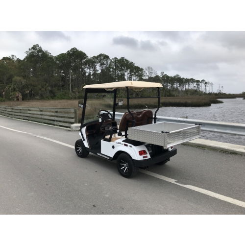 MotoEV Electro Neighborhood Buddy 2 Passenger Utility Street Legal Golf Cart closed