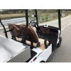 MotoEV Electro Neighborhood Buddy 2 Passenger Utility Street Legal Golf Cart seats