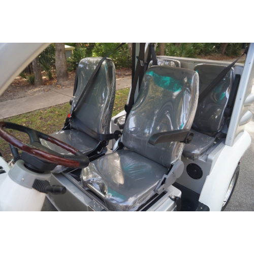 MotoEV Electro Bubble Buddy LSV 4 Passenger Security image 9