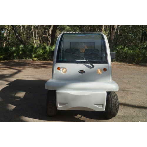 Two-Passenger Golf Cart for Sale Enclosed Utility Vehicle Moto