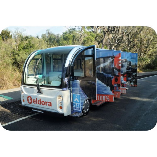 Large Golf Carts with Doors