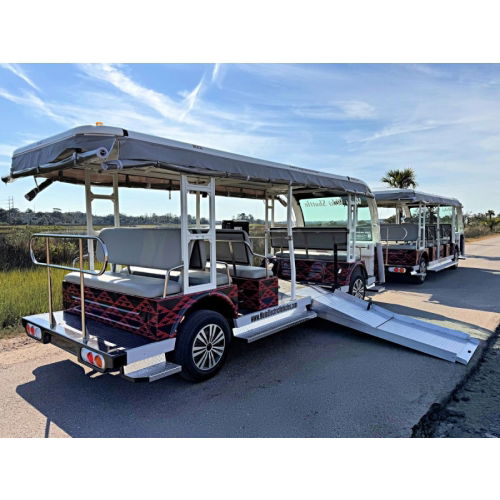 Wheelchair Electric Trams for Sale in America