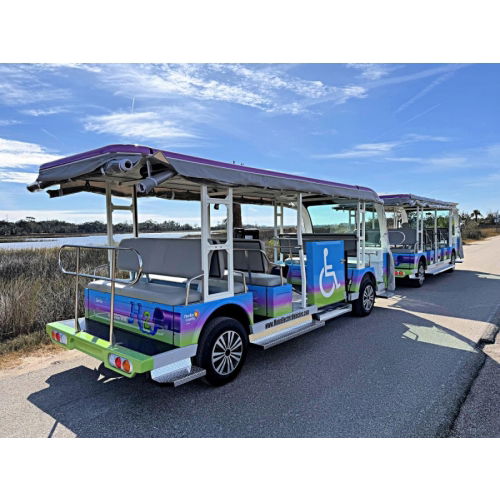 Wheelchair Electric Shuttles for Parking Lots