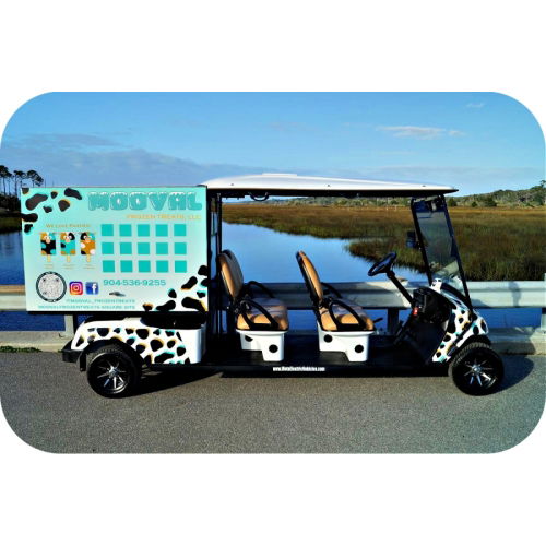 MotoEV Electro Neighborhood Buddy 4 Passenger Utility  right angle