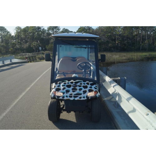 MotoEV Electro Neighborhood Buddy 4 Passenger Shuttle front 2