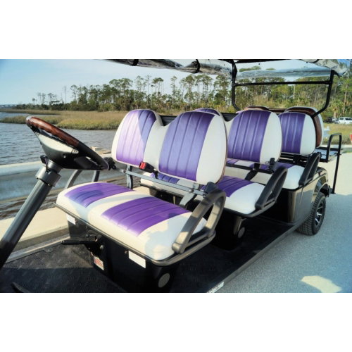 Custom Seats- Golf Cart/Bubble - Photo 1